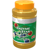 Enzyme Star dietary supplement bottle with digestive enzymes for digestion support, 60 capsules