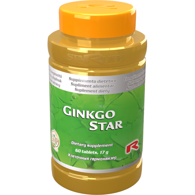 Ginkgo Star dietary supplement bottle with 60 tablets containing Ginkgo Biloba extract for improved blood flow and mental performance