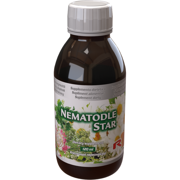Nematodle Star dietary supplement syrup 120ml for digestive and urinary tract support with anise, coriander, chamomile, and pumpkin extracts