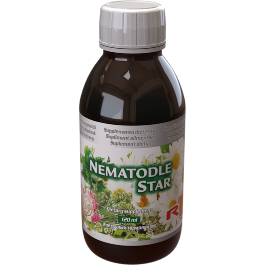 Nematodle Star dietary supplement syrup 120ml for digestive and urinary tract support with anise, coriander, chamomile, and pumpkin extracts