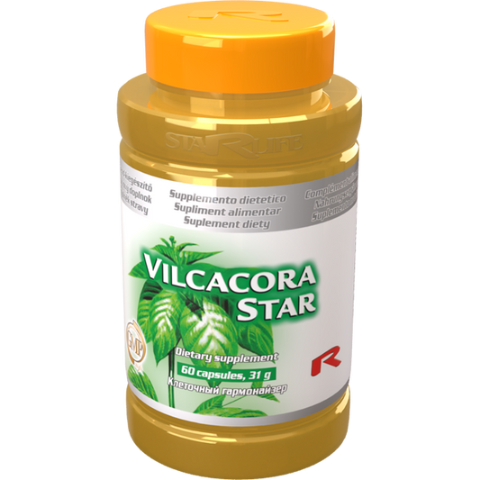 Vilcacora Star immune support dietary supplement 60 capsules bottle