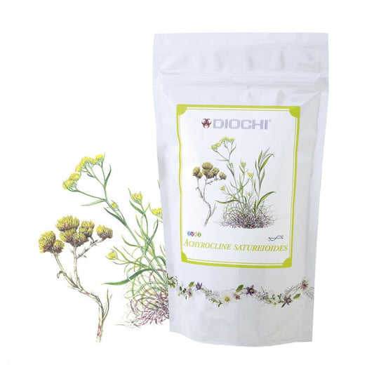 Achyrocline satureioides herbal tea package and dried flowers for stomach and liver support