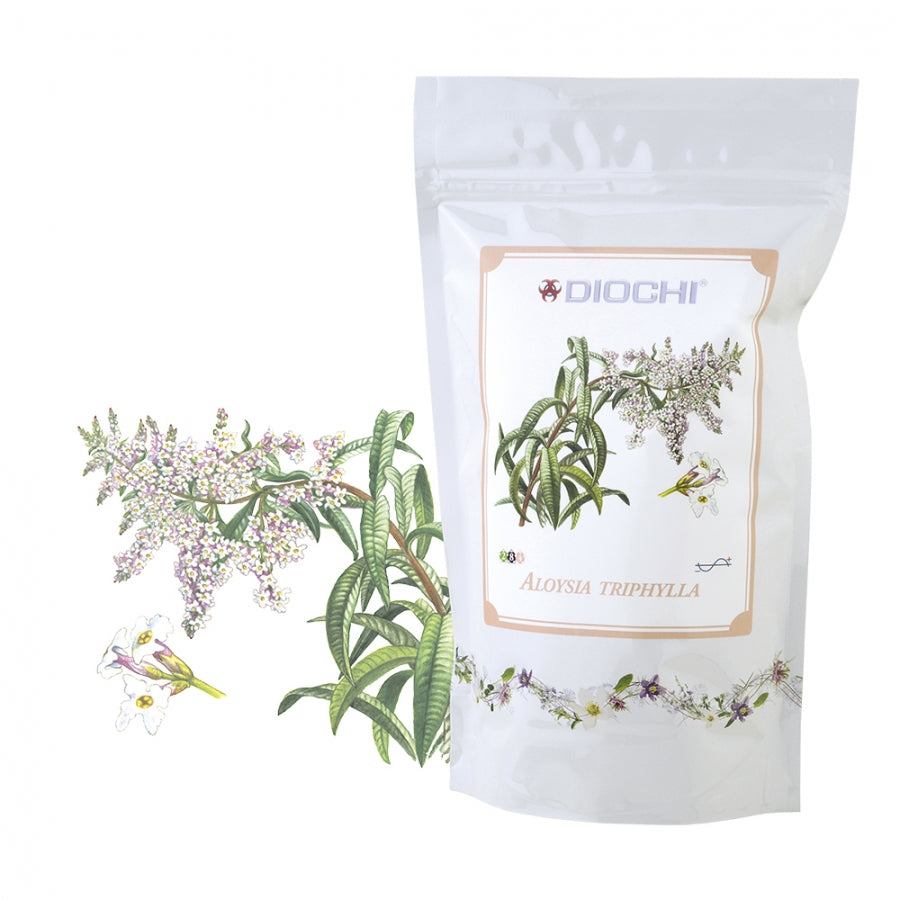 Aloysia triphylla herbal tea pack with lemony aroma for relaxation and detoxification, 100g