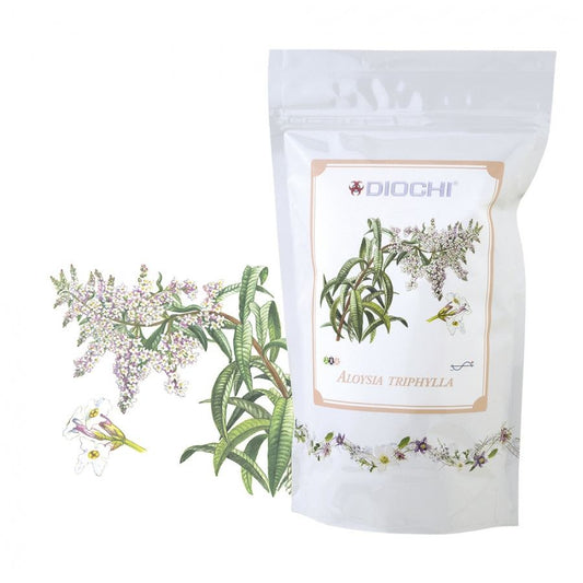 Aloysia triphylla herbal tea pack with lemony aroma for relaxation and detoxification, 100g