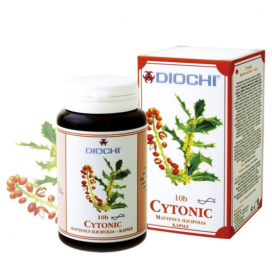 Cytonic dietary supplement capsules with Maytenus ilicifolia extract for meridian harmonization and female hormonal balance