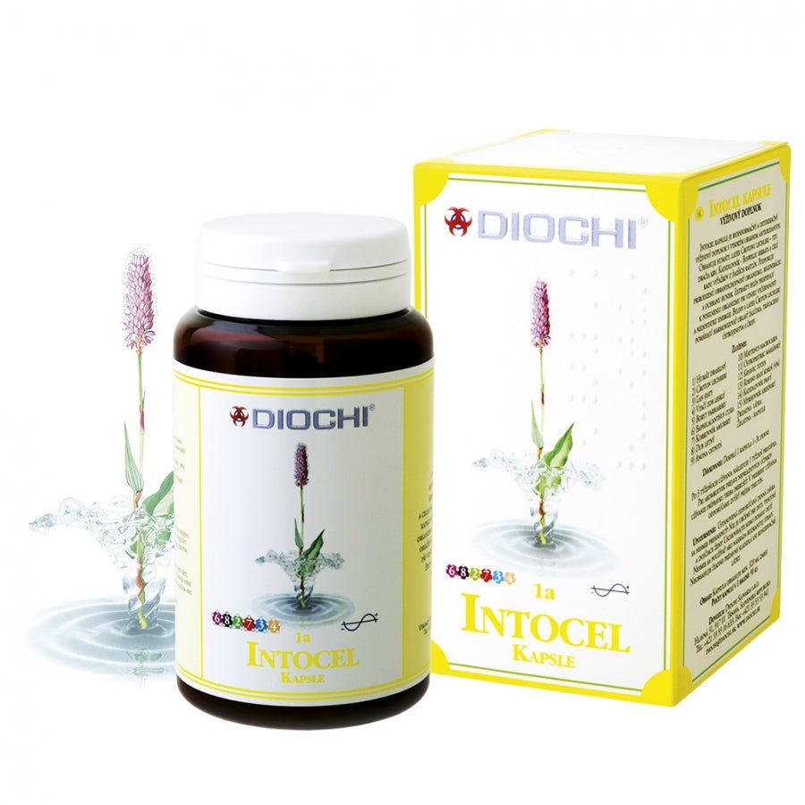Intocel capsules dietary supplement for digestion support and intestinal cleansing with herbal extracts and essential oils.
