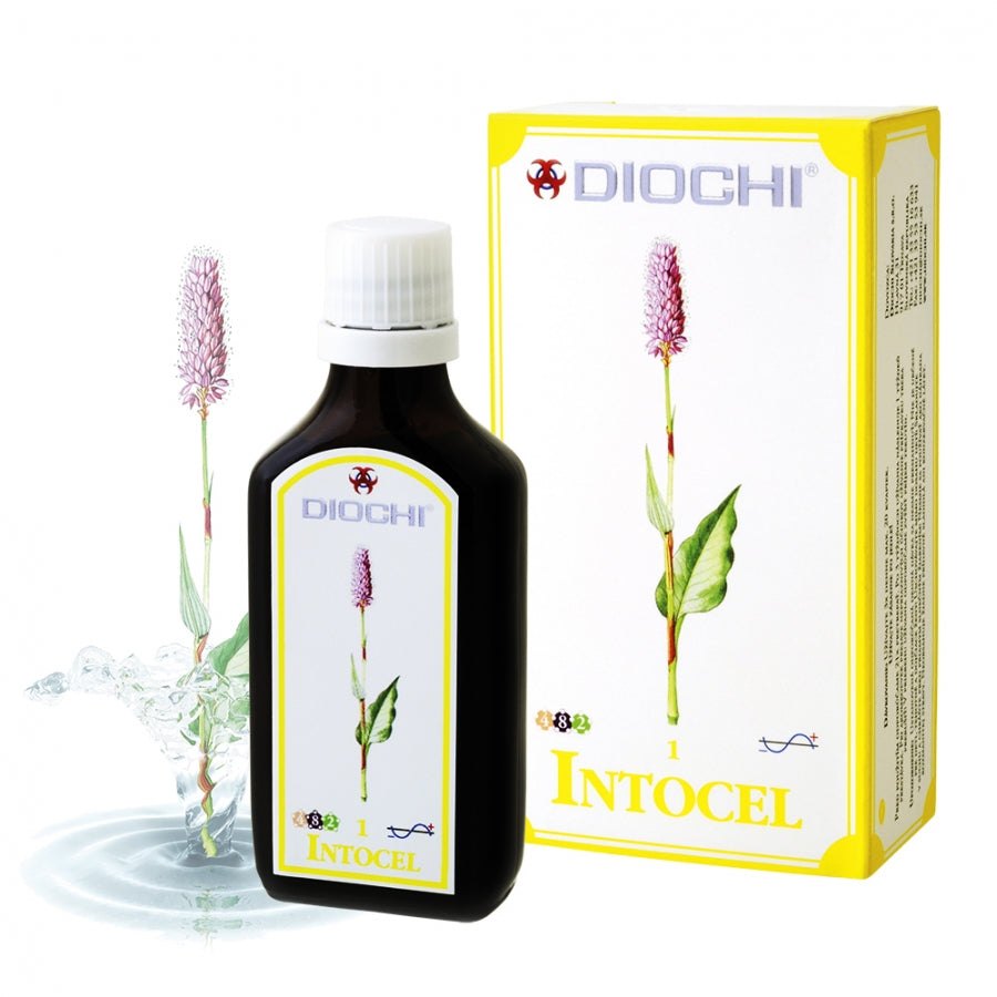 Intocel 50ml colon herbal cleanse dietary supplement with dragon's blood and plant extracts for digestive and intestinal support