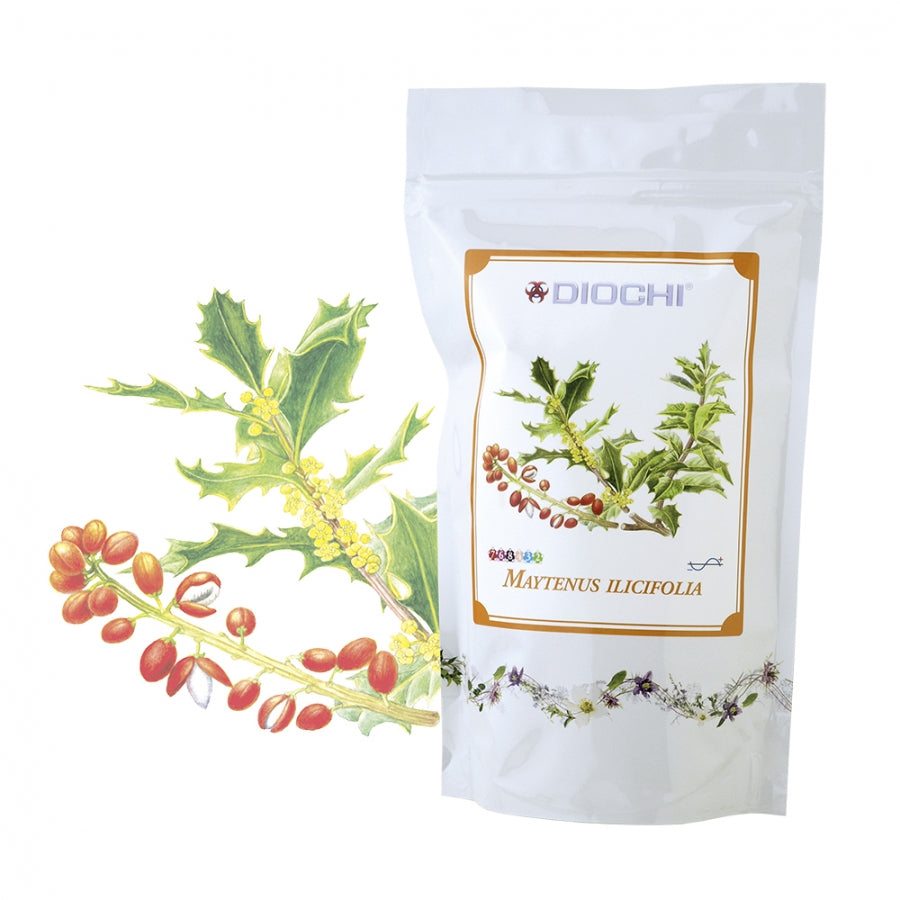 Maytenus ilicifolia herbal tea leaves in 150g package with natural leaf illustration
