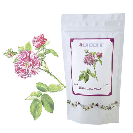 Rosa centifolia herbal tea package with pink rose illustration, supporting respiratory, digestive, skin, and mental health benefits.