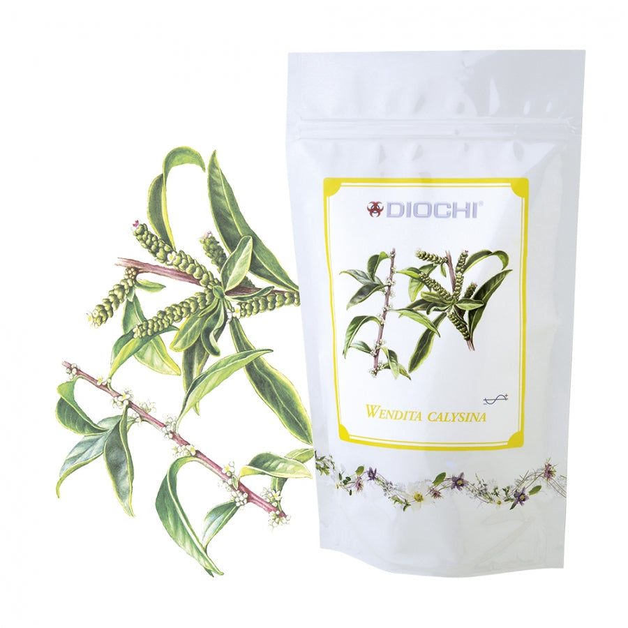 Wendita Calysina herbal tea 80g package with botanical illustration of Wendita Calysina leaves and stems