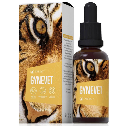 Gynevet 30ml natural herbal concentrate for hormonal harmony and fertility in dogs