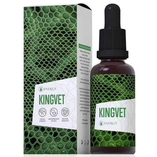 Kingvet 30ml herbal concentrate for dog breeding supporting motor functions and healing processes