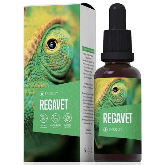 Regavet 30ml natural herbal concentrate for dog metabolism optimization and digestive support