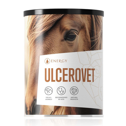 Ulcerovet 150g natural horse gastric ulcer treatment powder with Maytenus ilicifolia for gastrointestinal upset in dogs