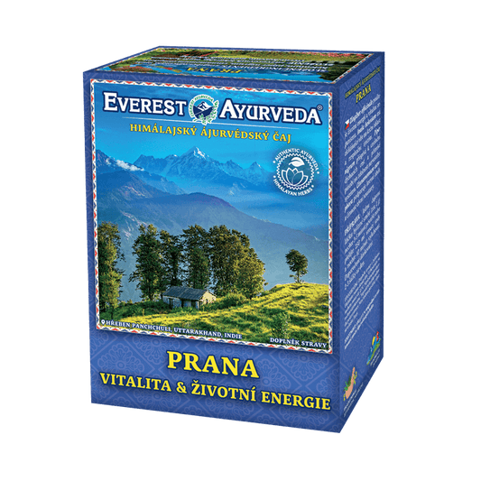 Everest Ayurveda Prana vitality herbal tea 100g for energy and mental health boost