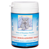 Echoes of Himalaya Thunder herbal tablets for cough relief and lung health, 100 tablets bottle