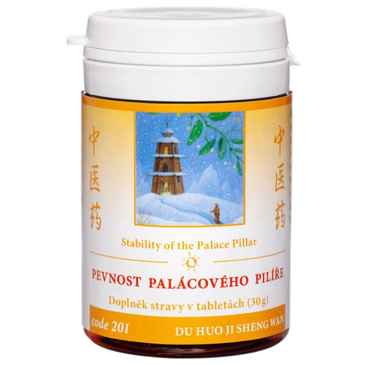 bottle of Stability of the Palace Pillar DU HUO JI SHENG WAN herbal tablets for back pain relief