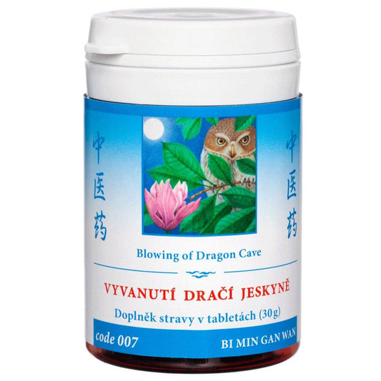 Blowing of Dragon Cave herbal tablets for rhinitis relief and nasal inflammation treatment bottle 100 tablets